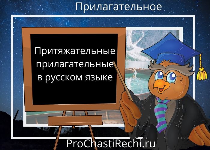 Притяжательные прилагательные в русском языке